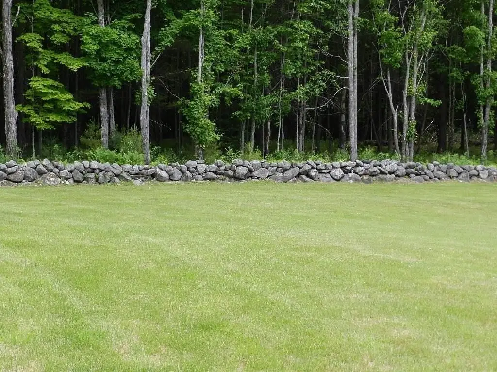 Picture 46