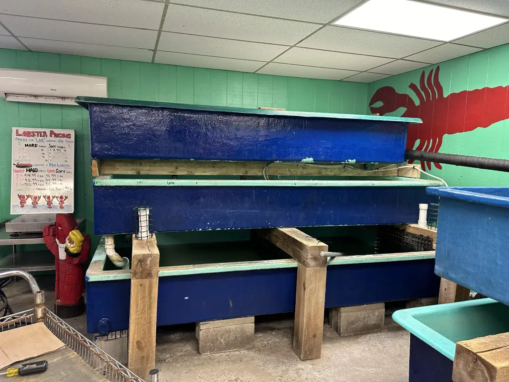 Picture 10