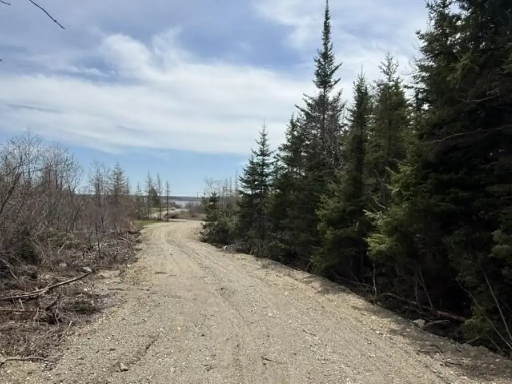 Picture 6
