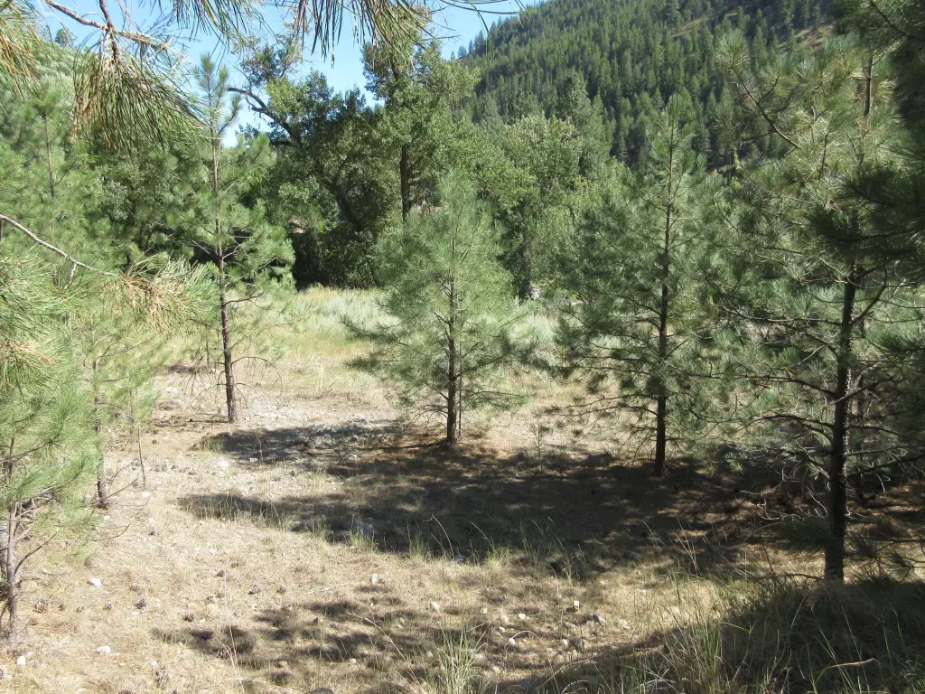 Picture 13