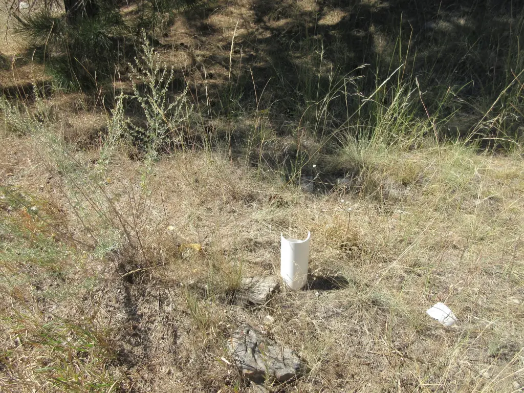 Picture 17