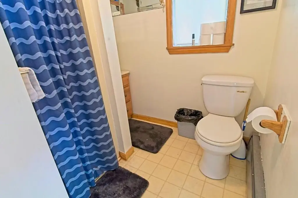 Picture 12