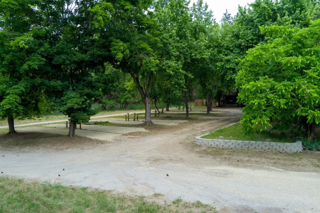 Picture 49