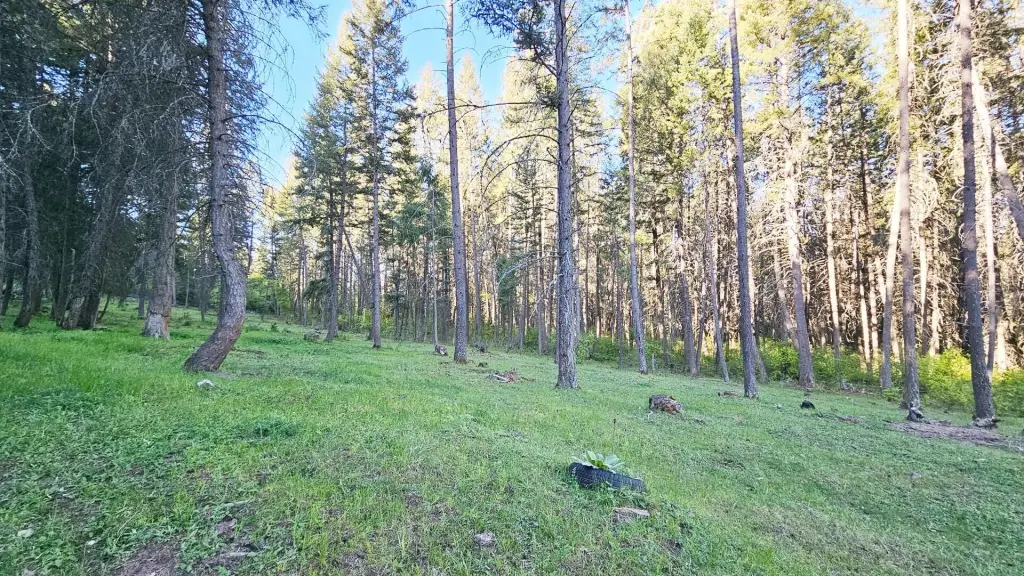 Picture 12