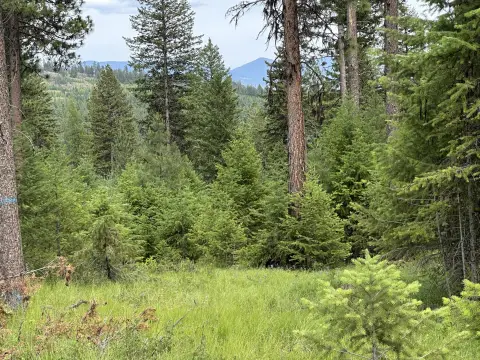 Recreation Land with Camping Potential