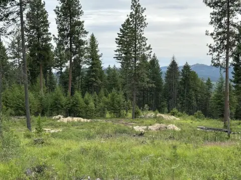 Recreation Land Parcel with Creek Access