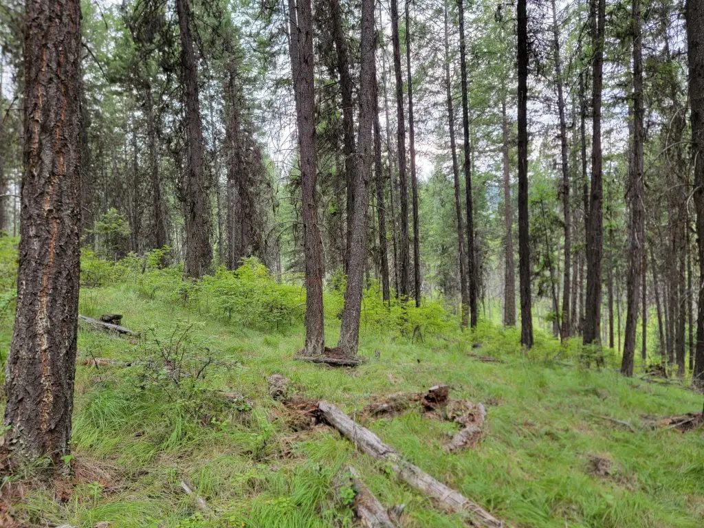Picture 6