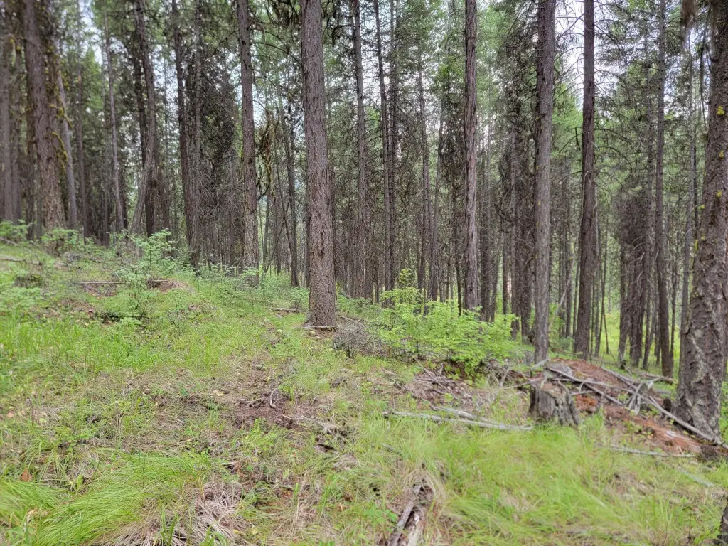 Picture 3