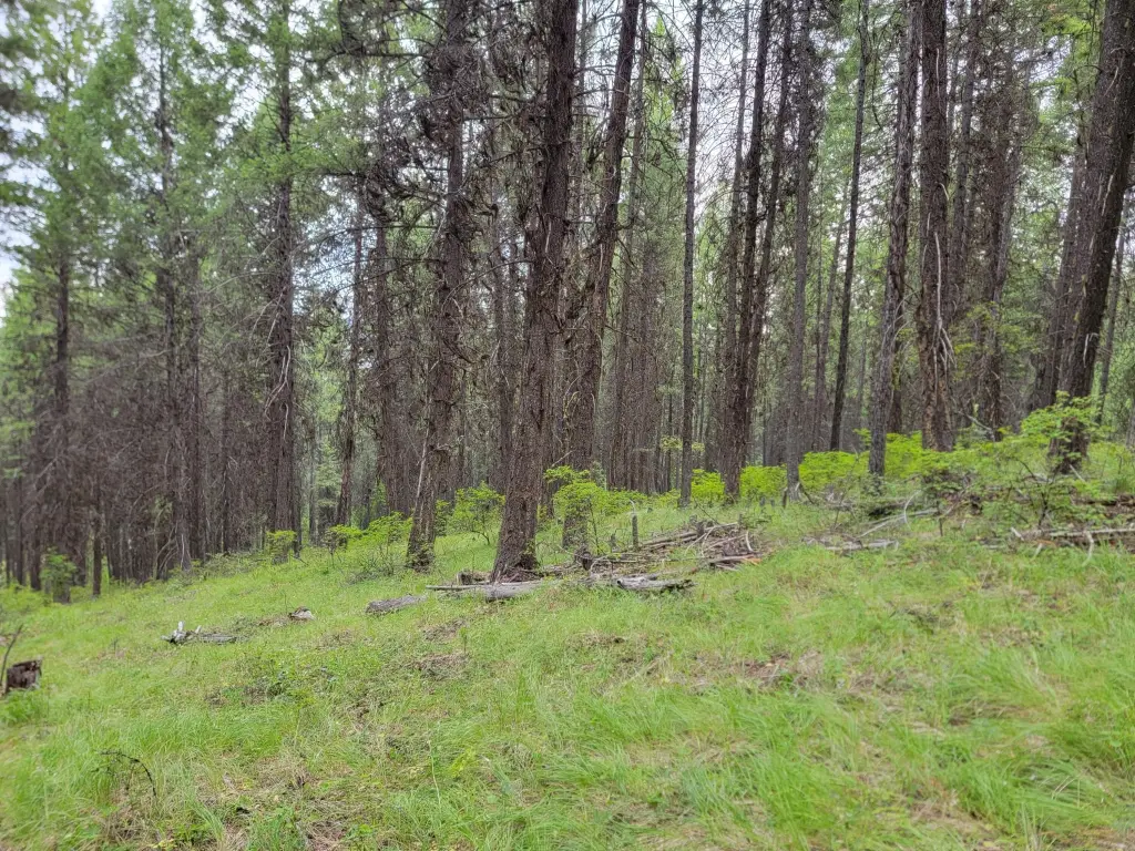 Picture 5
