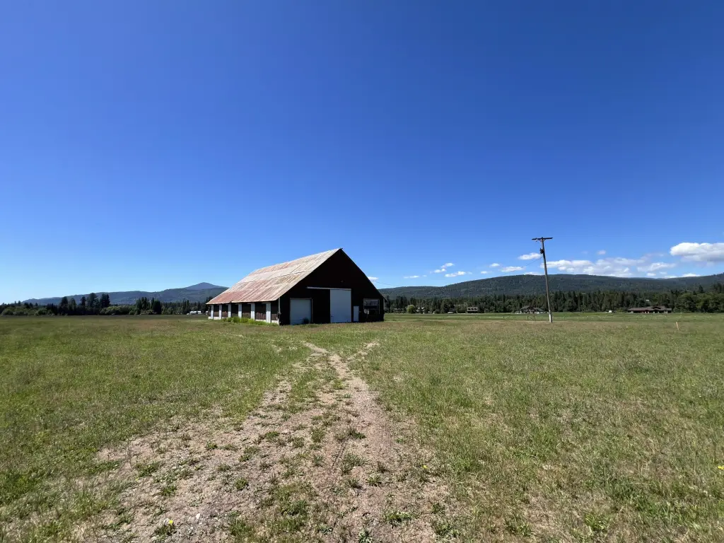 Picture 25