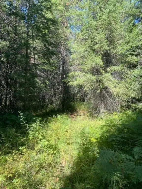 Picture 11
