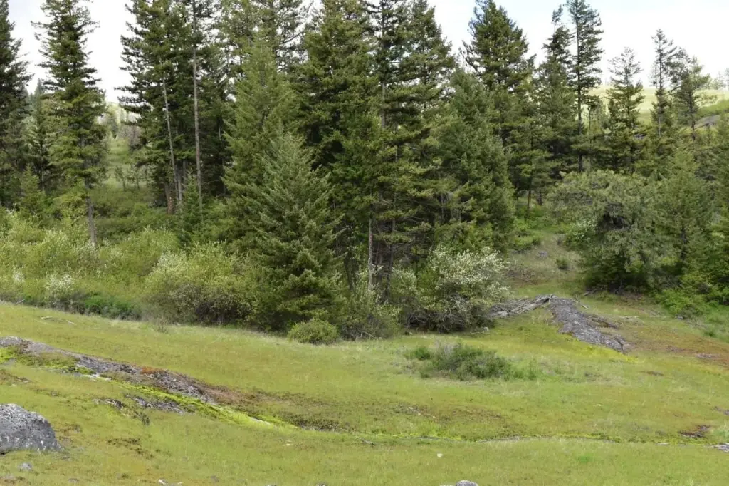 Picture 26