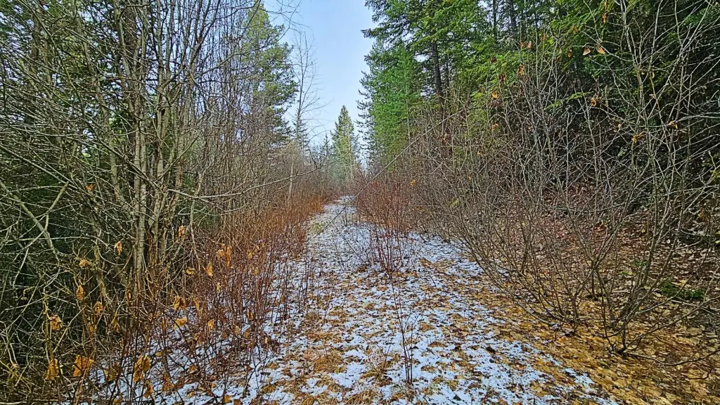 Picture 9