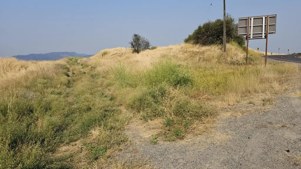 Picture 24