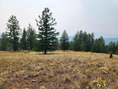 Residential Recreation Land Parcel