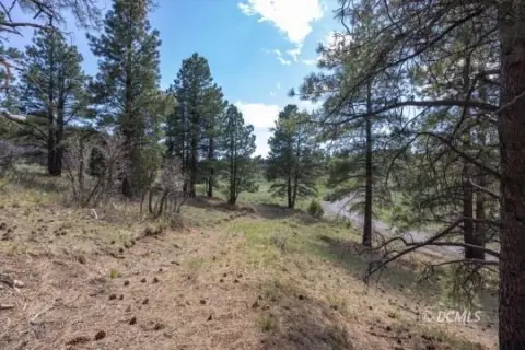 Elk Ridge Estates Land