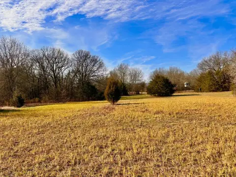 80 Acres Hunting/Recreation Land