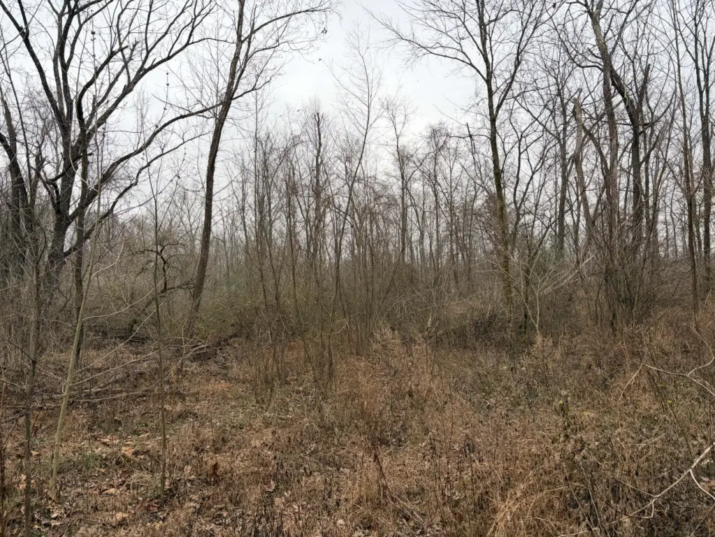 Picture 42