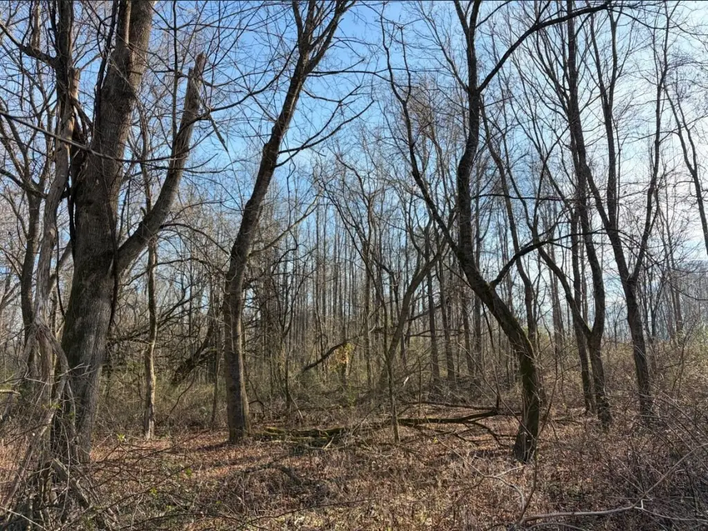 Picture 12