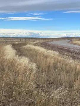 Agricultural Land Parcel