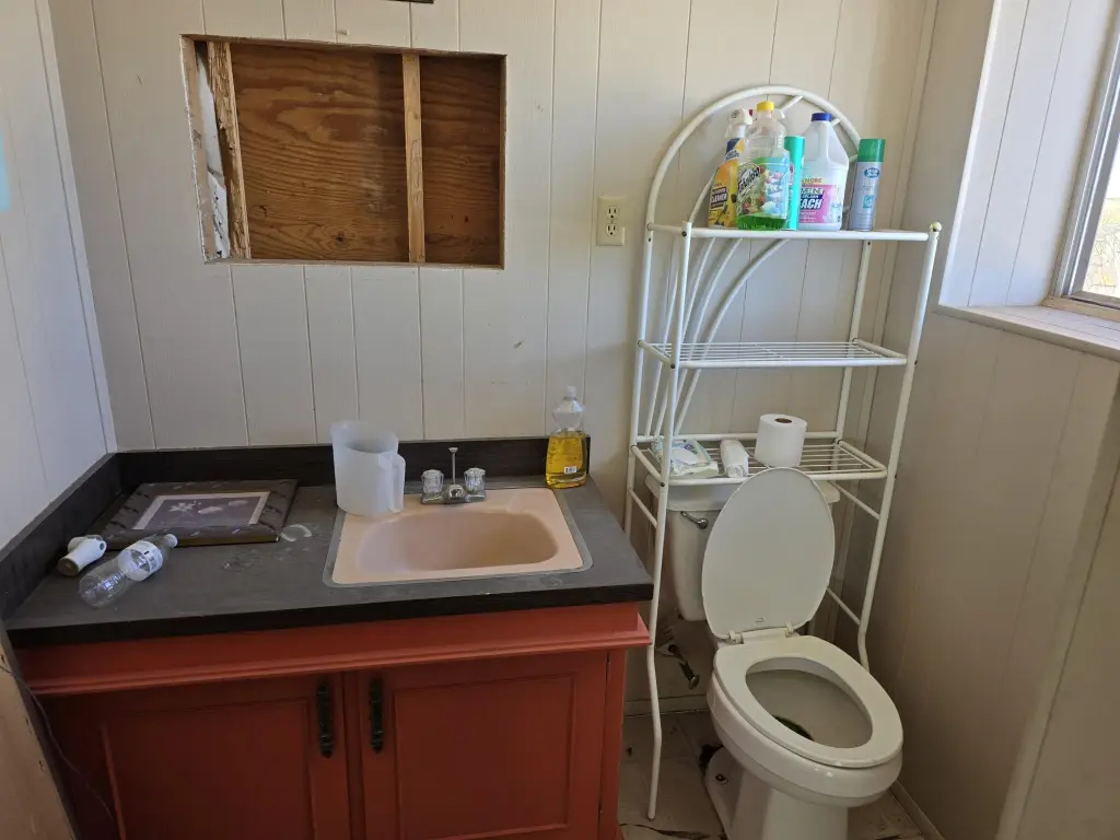 Picture 15