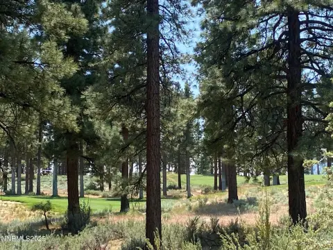 Land Near Lake Tahoe