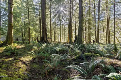 Otis Land with Creek Views