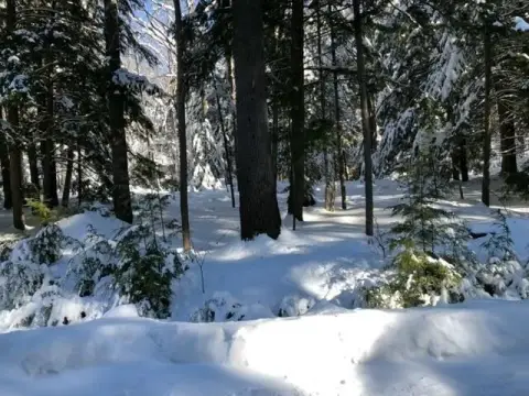 Bethel Land Near Ski Resort