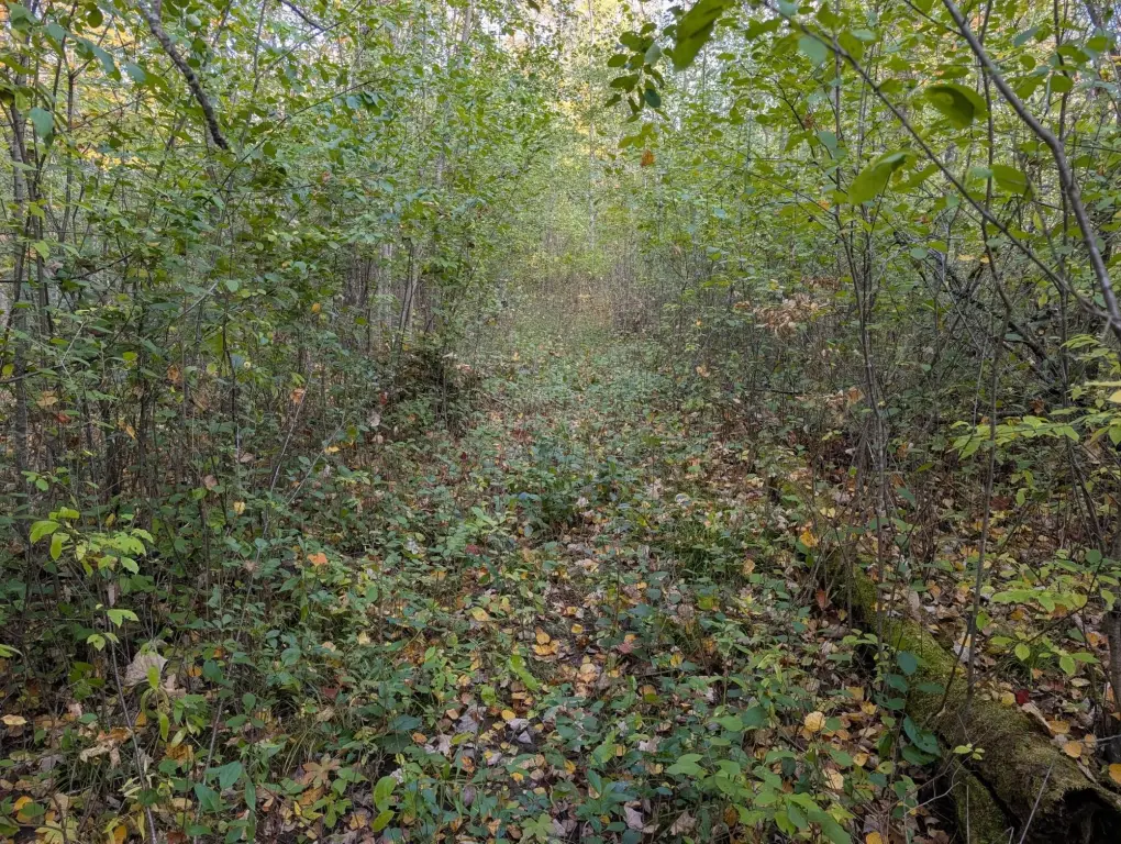 Picture 7