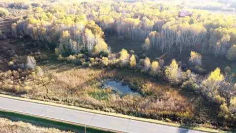 Wooded Hunting Land