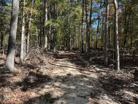 Undeveloped Land in China Grove