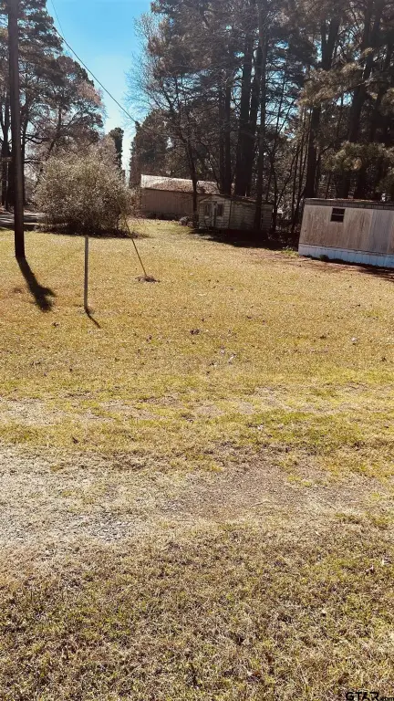 Picture 5