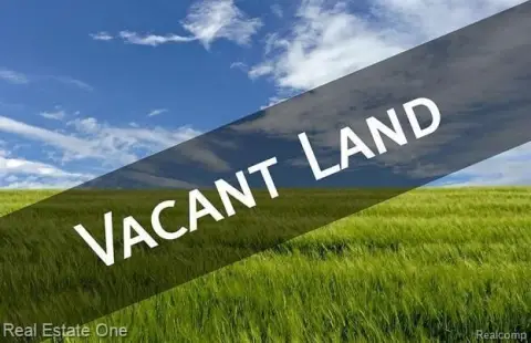 Lake Huron Vacant Land