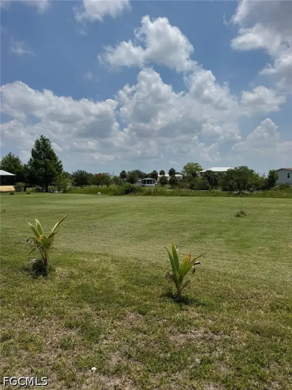 Picture 9