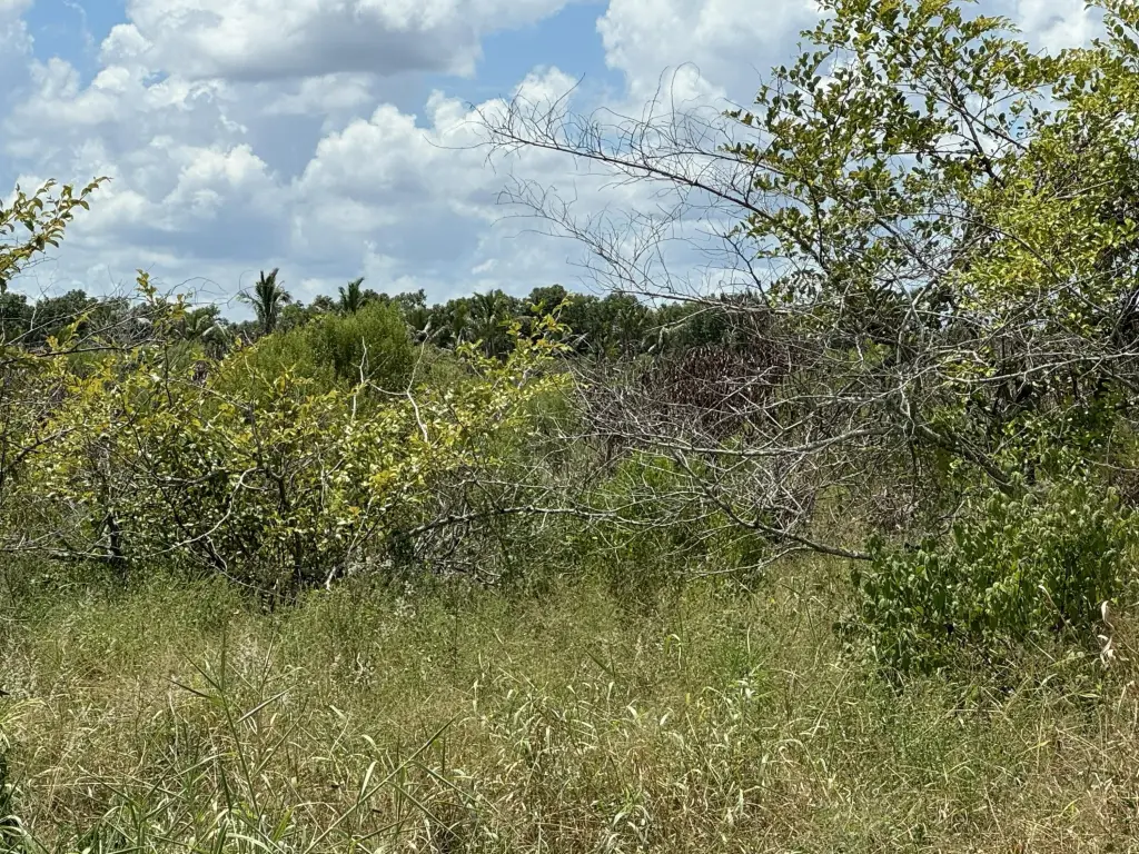 Picture 14