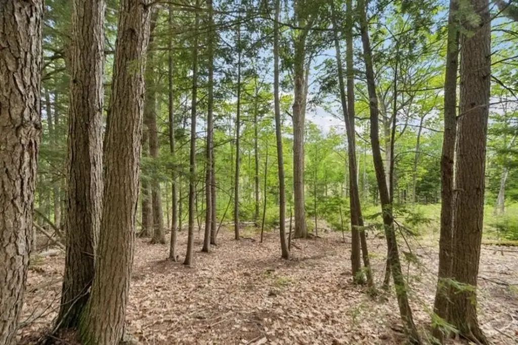 Picture 9
