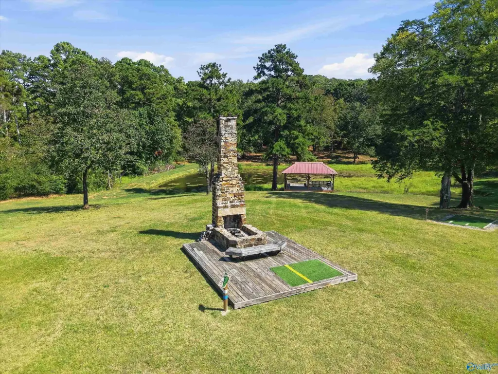 Picture 5