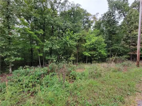 Residential Lot in Bella Vista