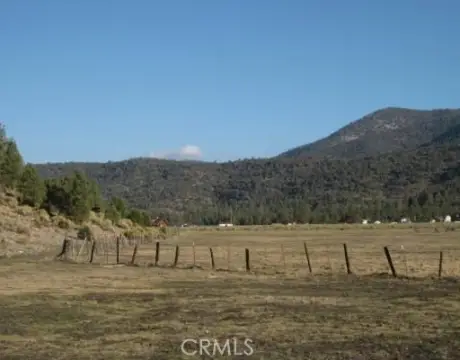 Expansive Land Backing National Forest