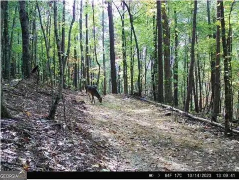 Land in Jasper, Georgia
