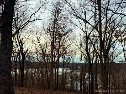 Bluff Lot with Lake View