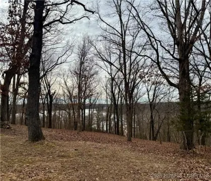 Unrestricted Land Near Lake Access