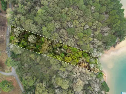 Waterfront Lot in Pell City