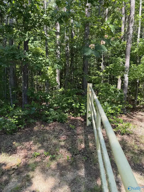 Picture 9