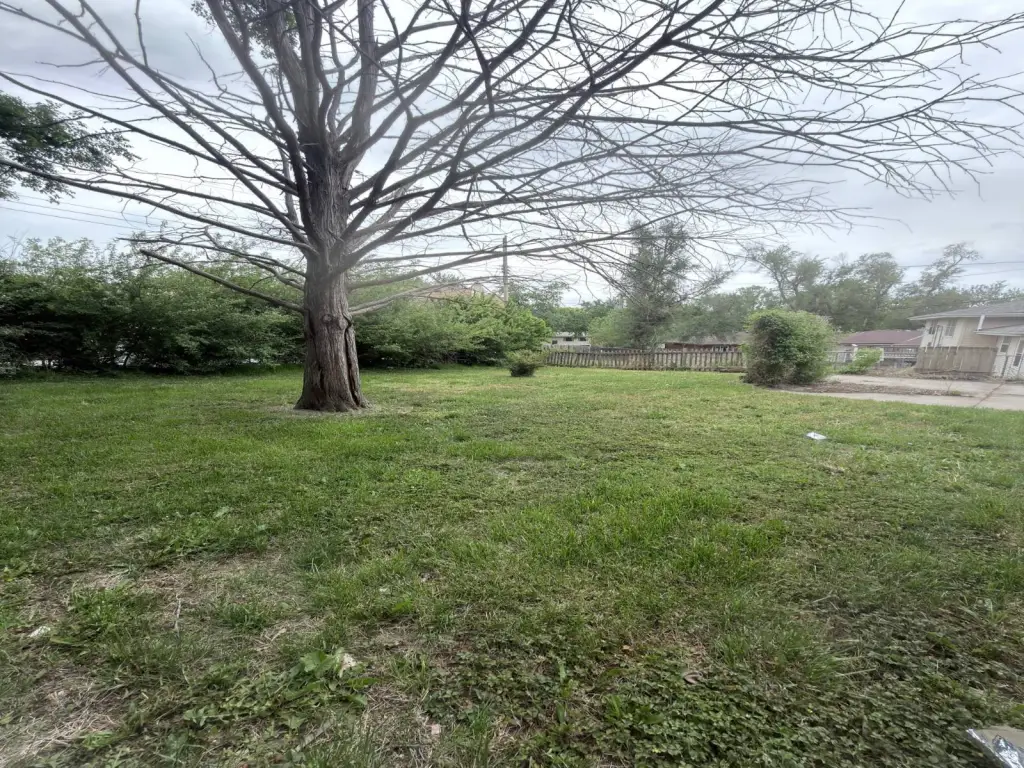 Picture 4