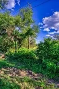 Land for Sale in Fischer