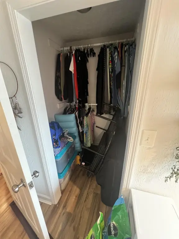 Picture 11