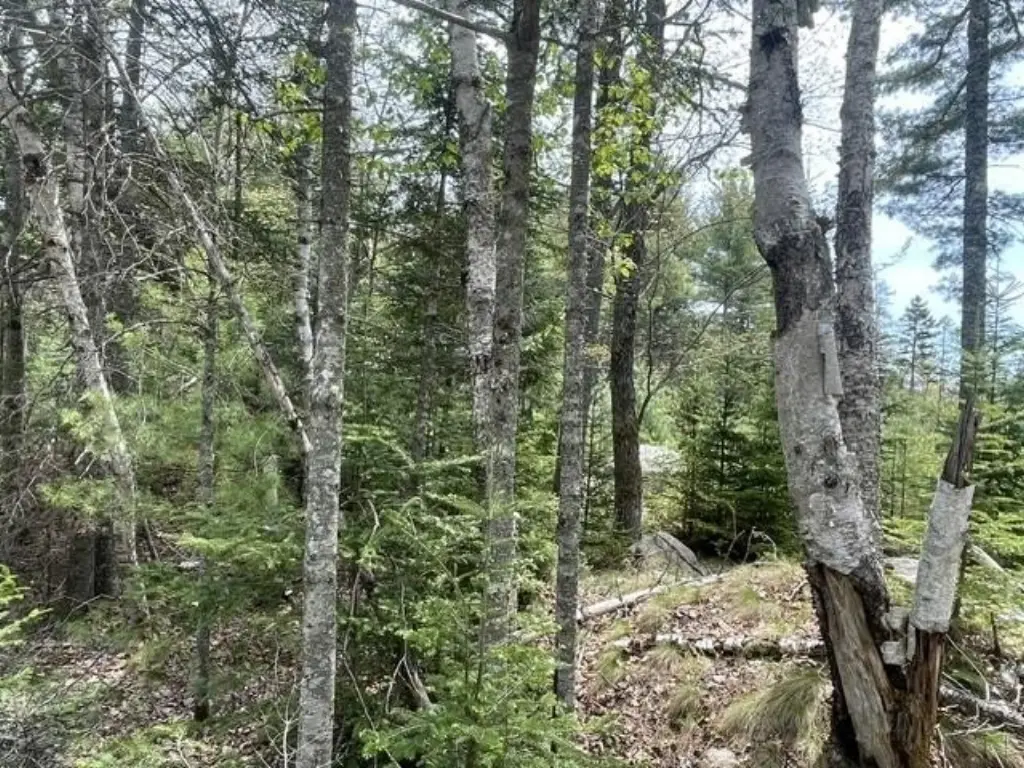 Picture 2