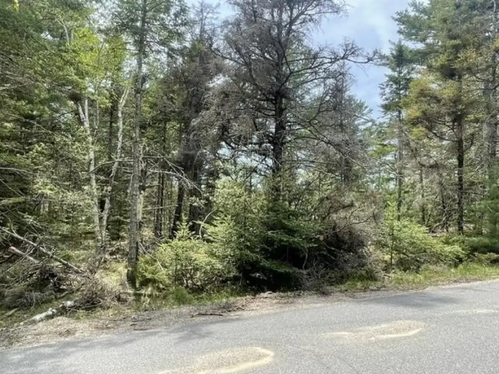 Picture 6