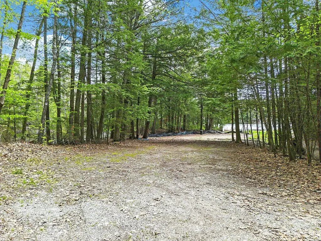 Picture 5